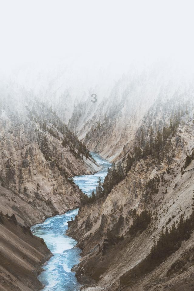 逃离泰莱森林